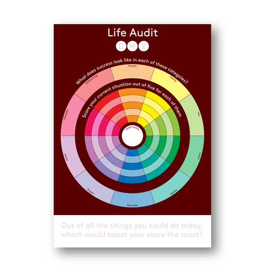 Life audit (digital sample)